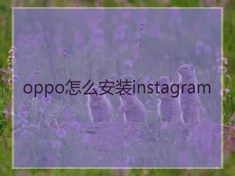 oppo怎么安装instagram