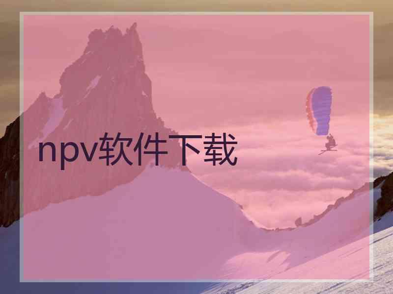 npv软件下载