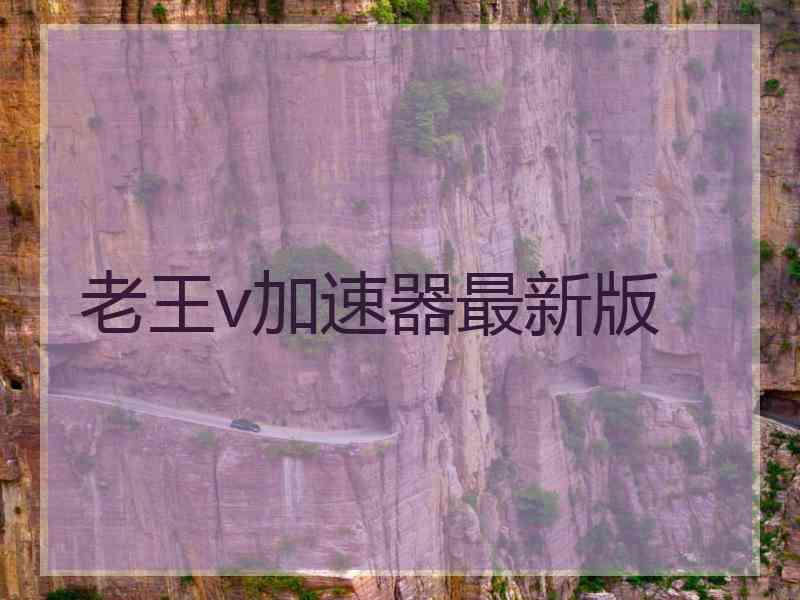 老王v加速器最新版