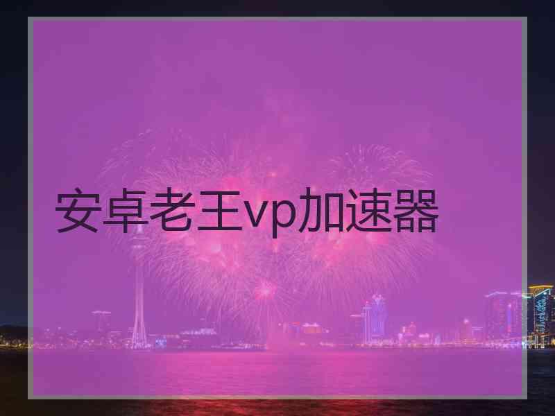 安卓老王vp加速器