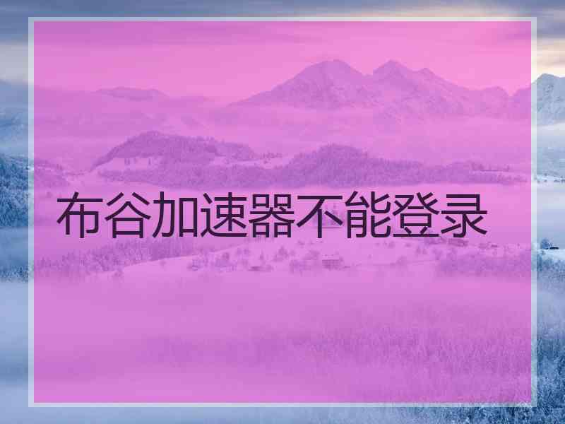 布谷加速器不能登录