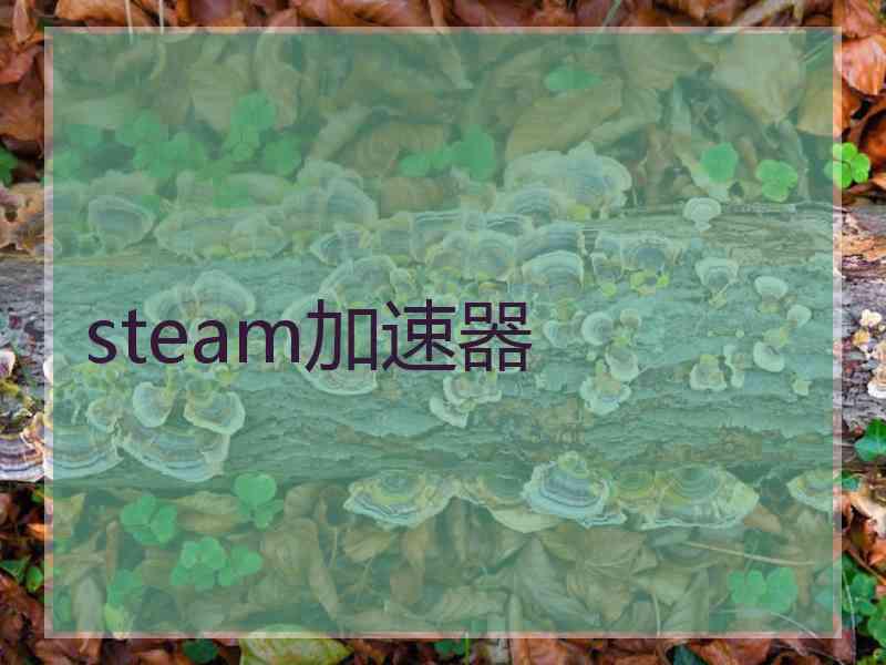 steam加速器