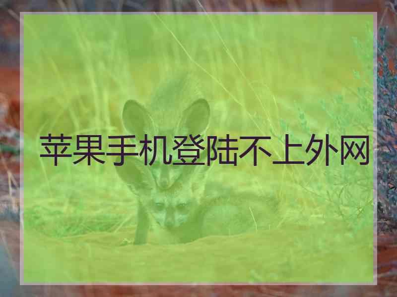 苹果手机登陆不上外网