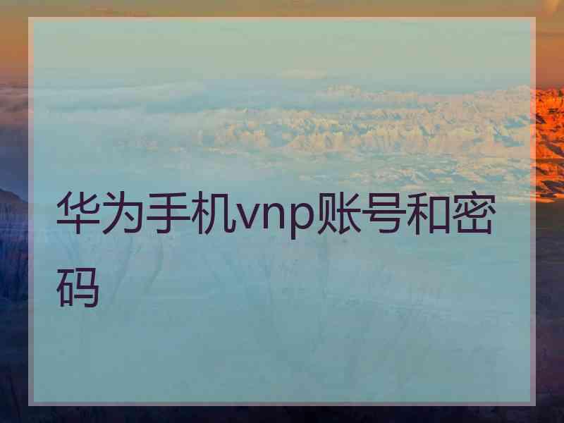 华为手机vnp账号和密码