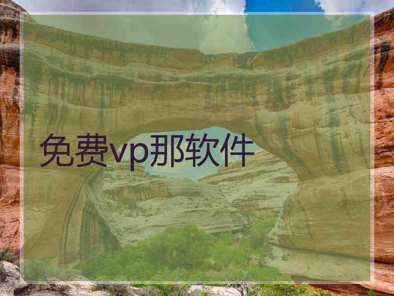 免费vp那软件