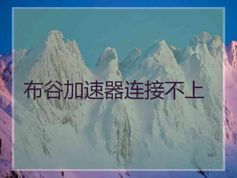 布谷加速器连接不上