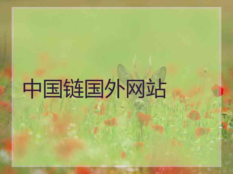 中国链国外网站