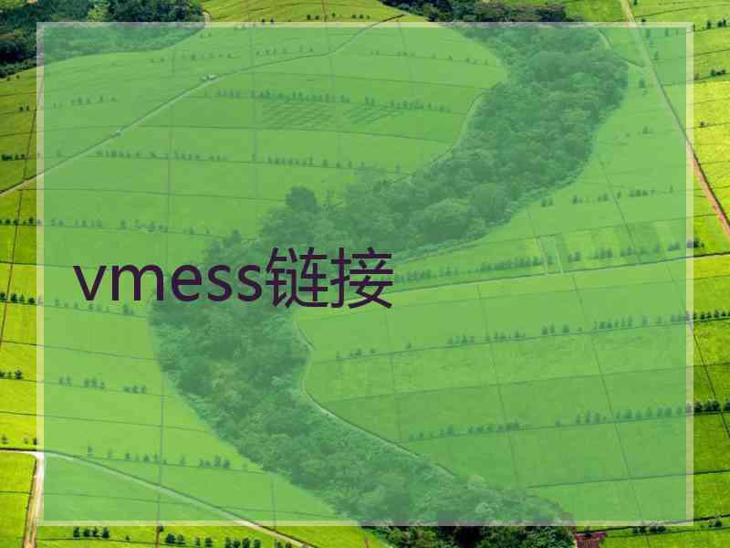 vmess链接