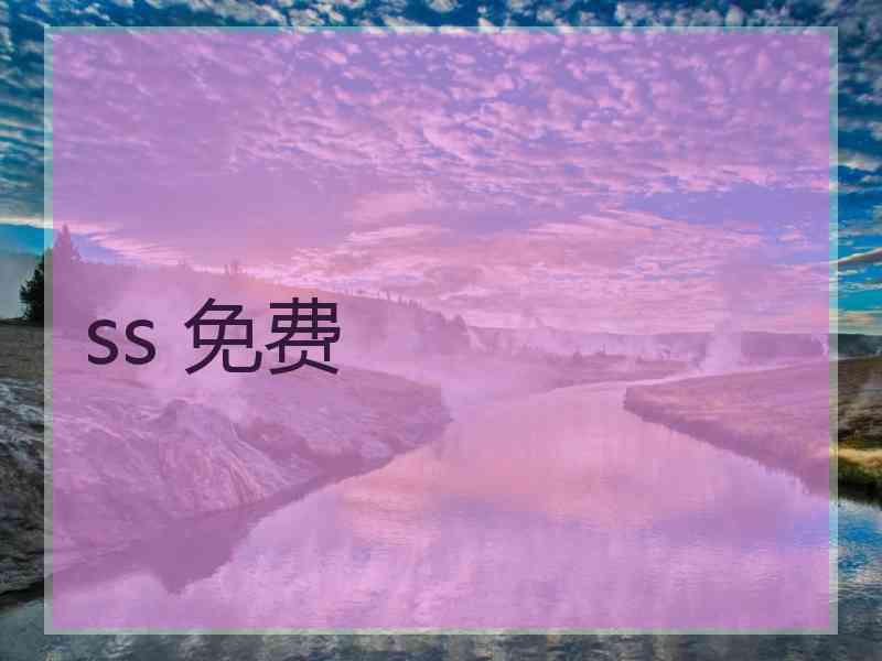 ss 免费