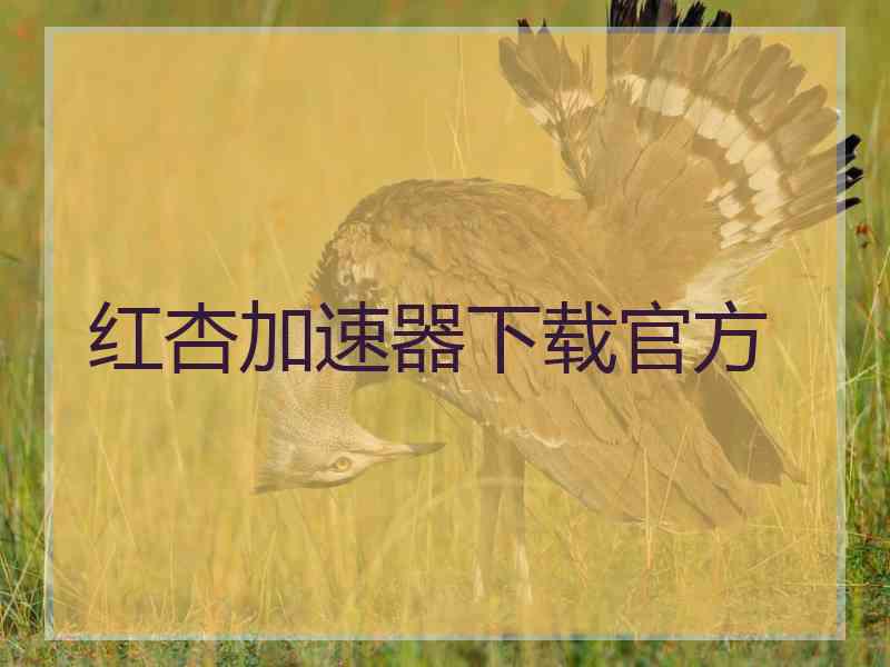 红杏加速器下载官方