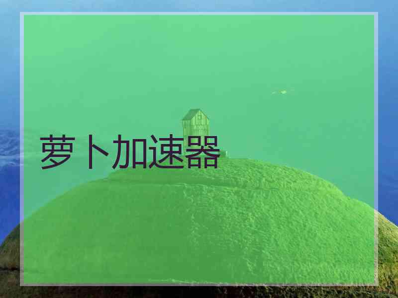 萝卜加速器