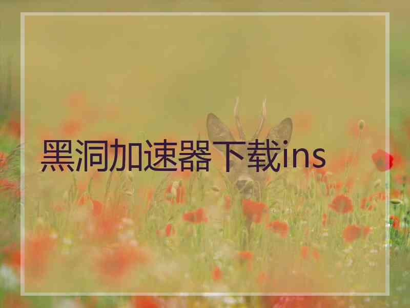 黑洞加速器下载ins