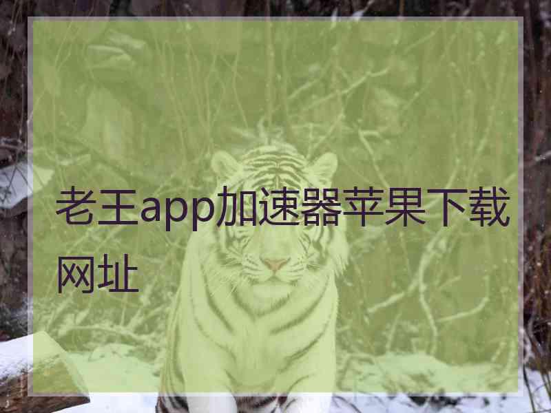 老王app加速器苹果下载网址