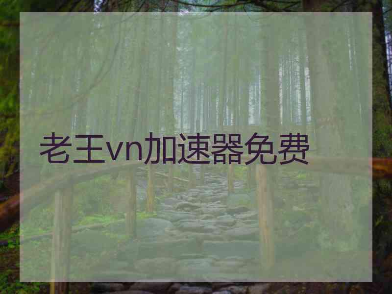 老王vn加速器免费