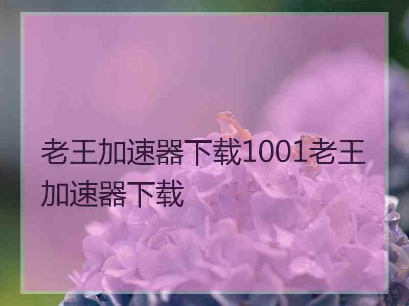 老王加速器下载1001老王加速器下载