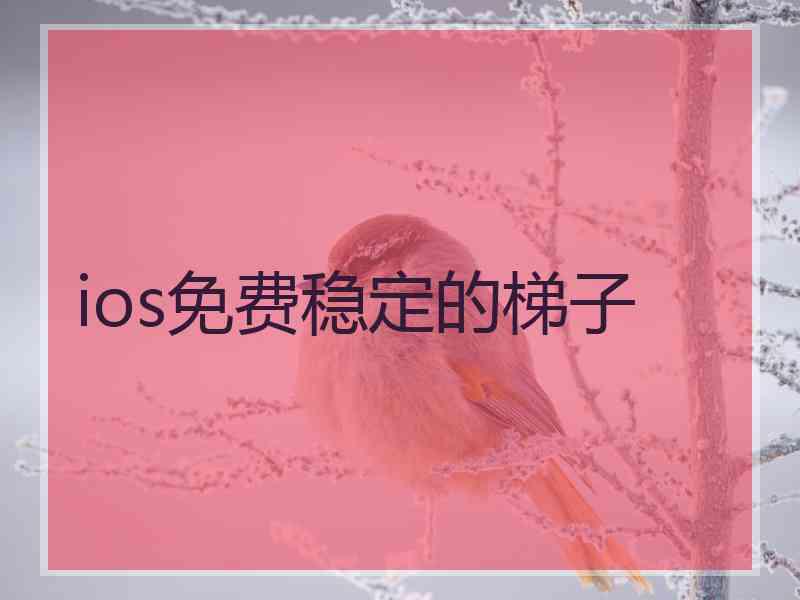 ios免费稳定的梯子