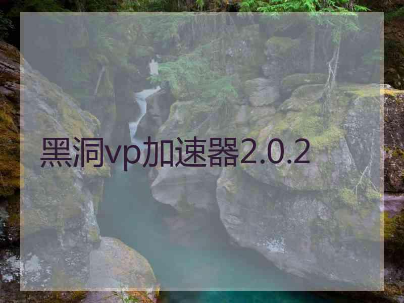黑洞vp加速器2.0.2