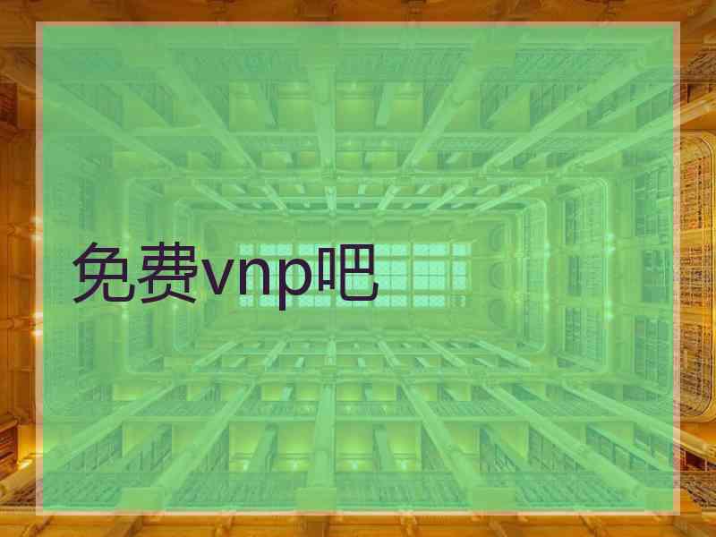 免费vnp吧