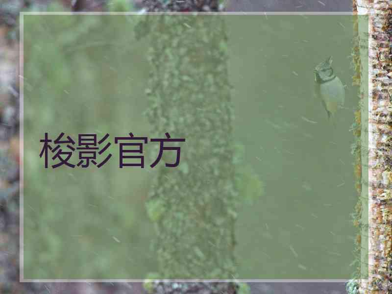 梭影官方