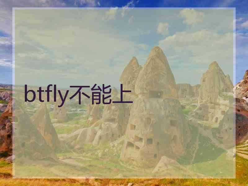btfly不能上