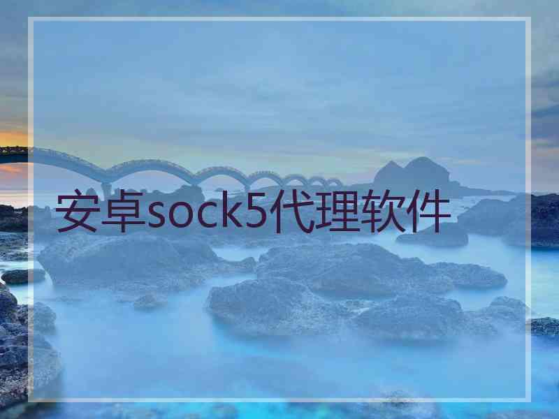 安卓sock5代理软件