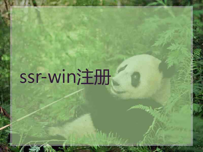 ssr-win注册
