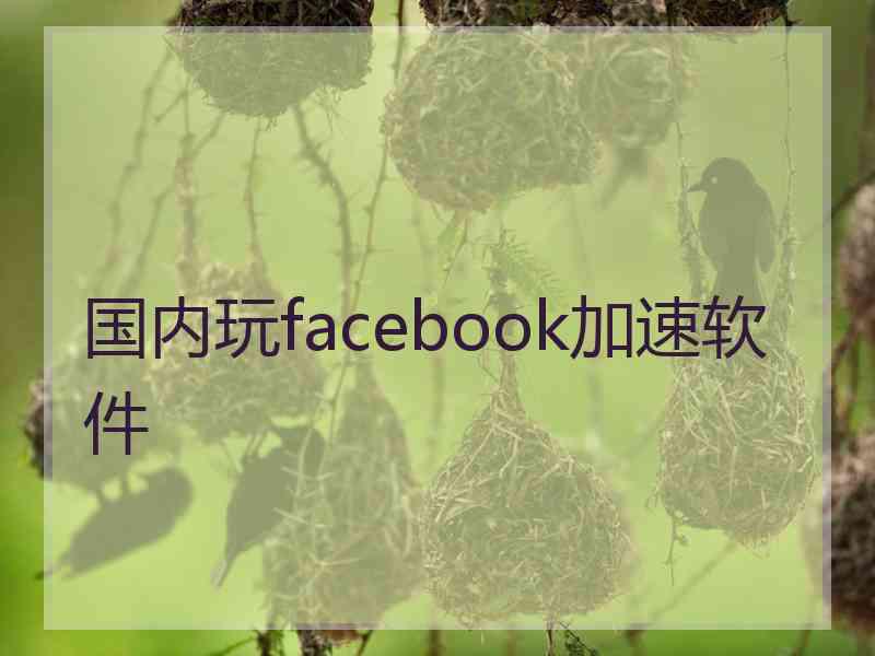 国内玩facebook加速软件