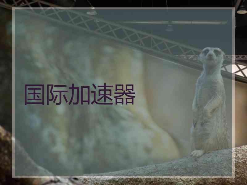 国际加速器