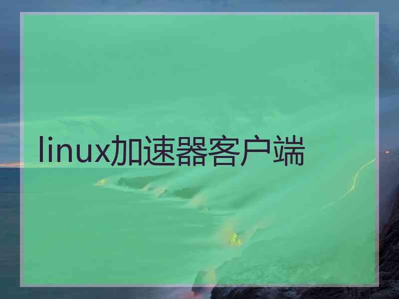 linux加速器客户端