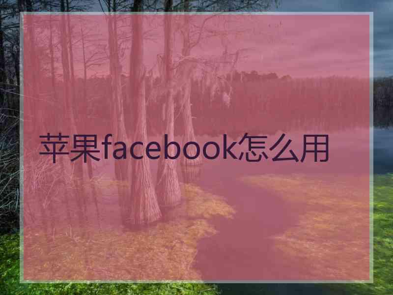 苹果facebook怎么用