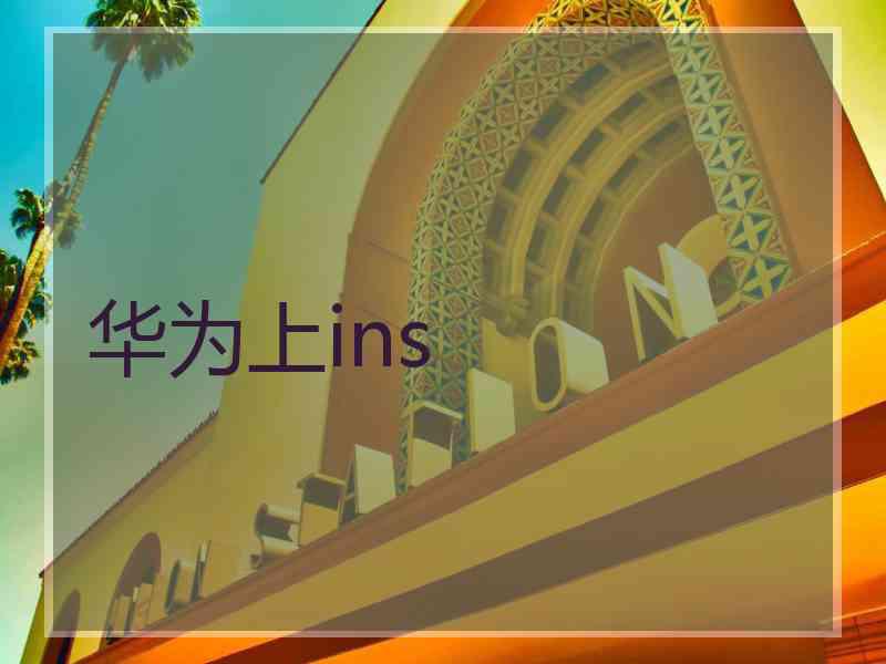 华为上ins
