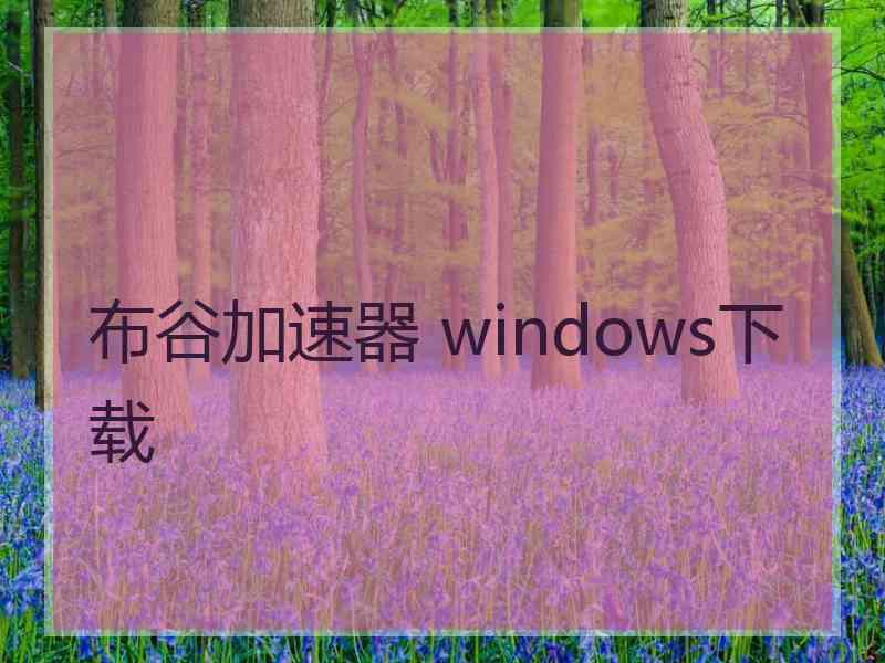 布谷加速器 windows下载