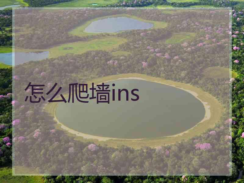 怎么爬墙ins