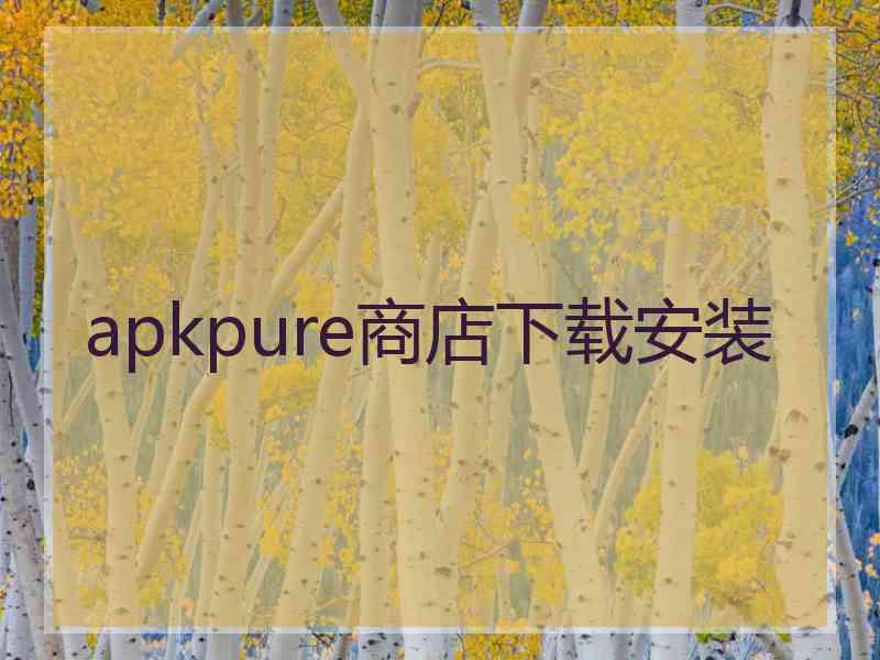 apkpure商店下载安装