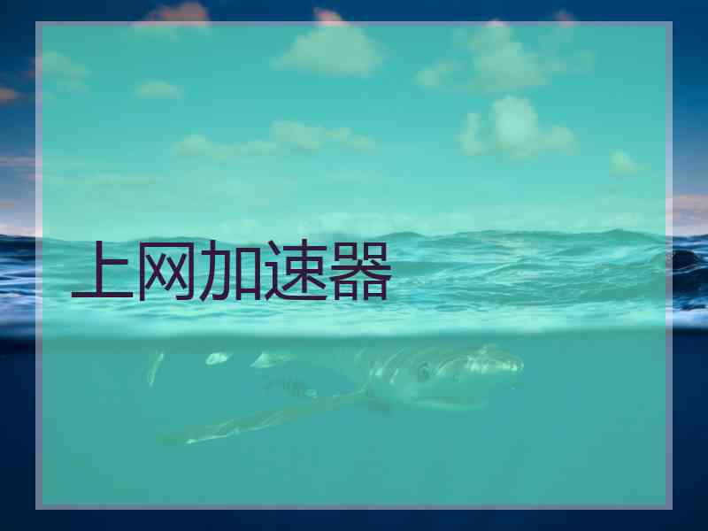 上网加速器