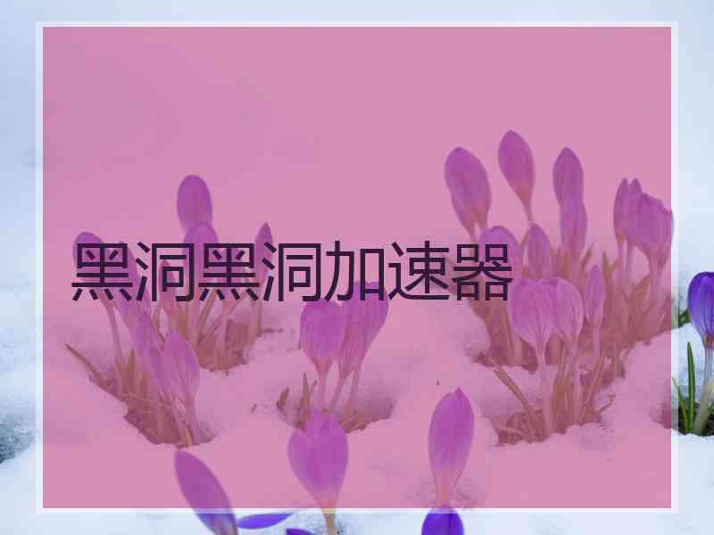 黑洞黑洞加速器