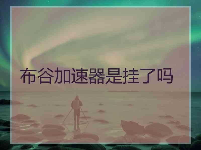 布谷加速器是挂了吗
