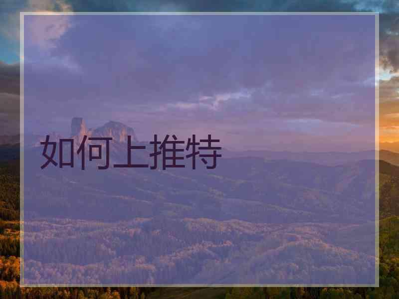 如何上推特