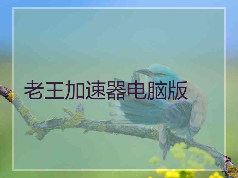 老王加速器电脑版