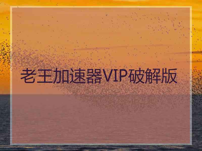 老王加速器VIP破解版