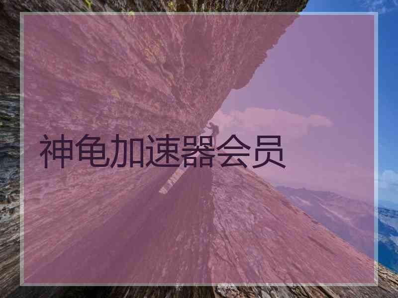 神龟加速器会员