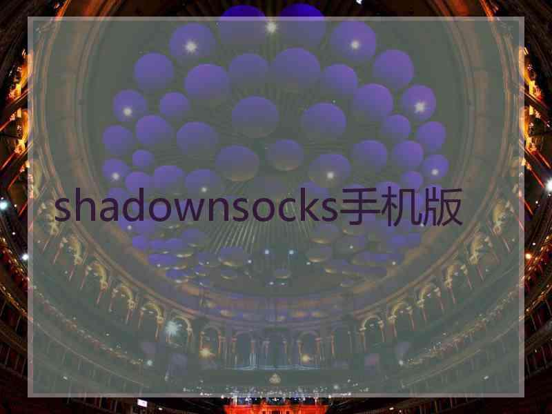 shadownsocks手机版