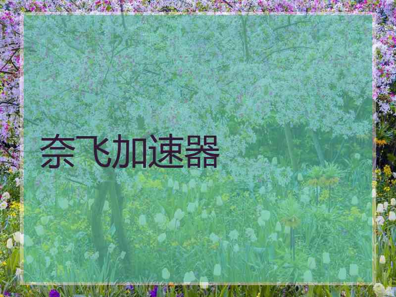 奈飞加速器