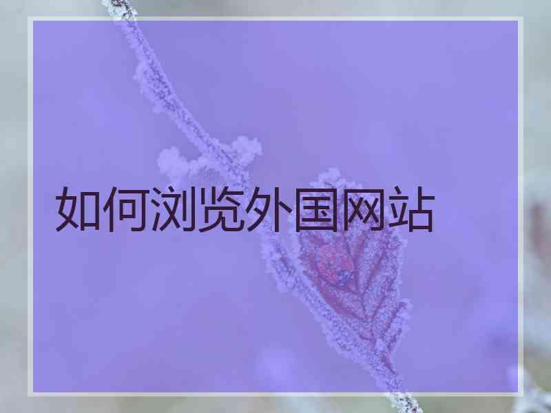 如何浏览外国网站