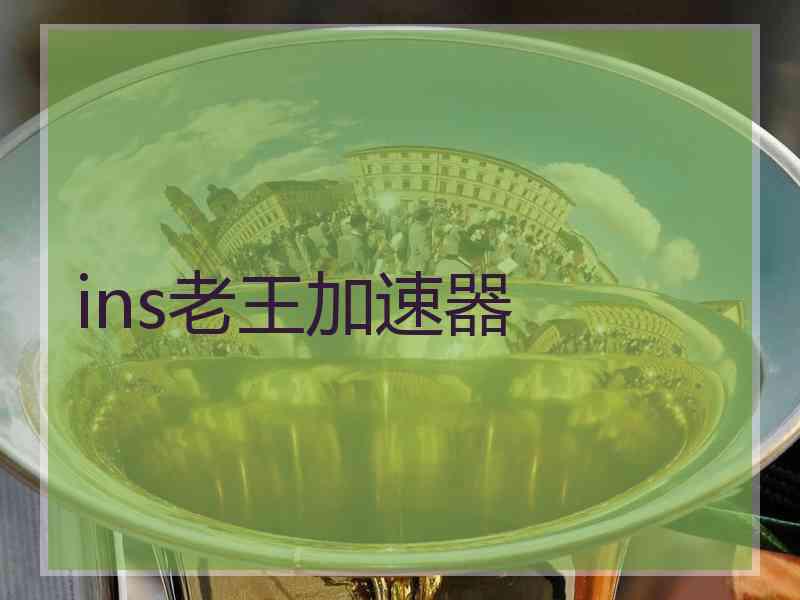ins老王加速器