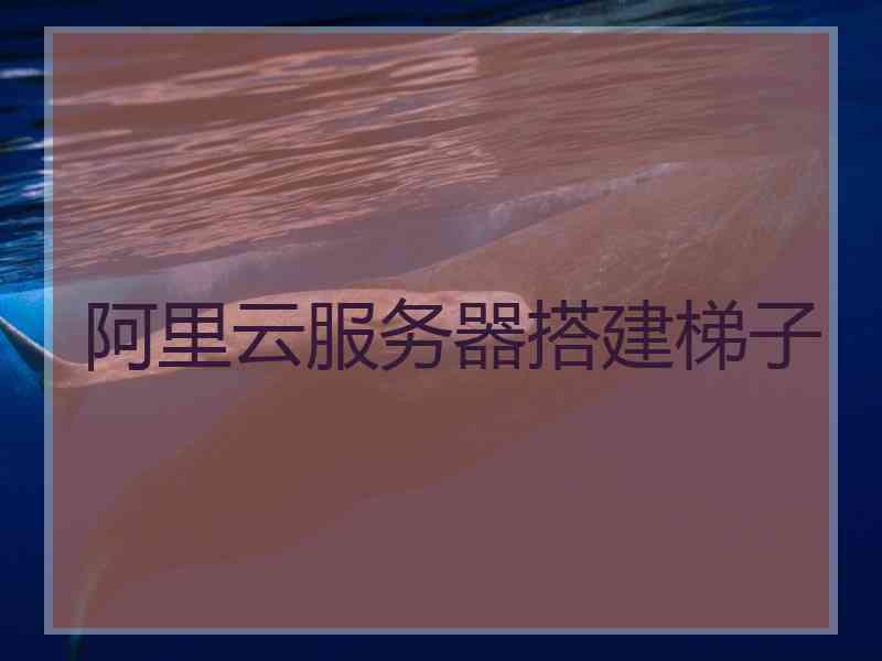 阿里云服务器搭建梯子