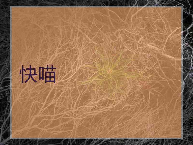 快喵