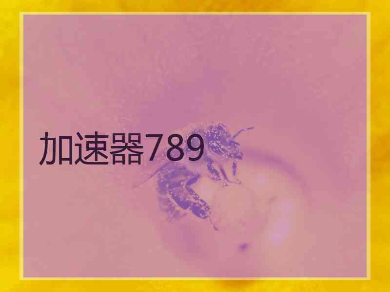 加速器789