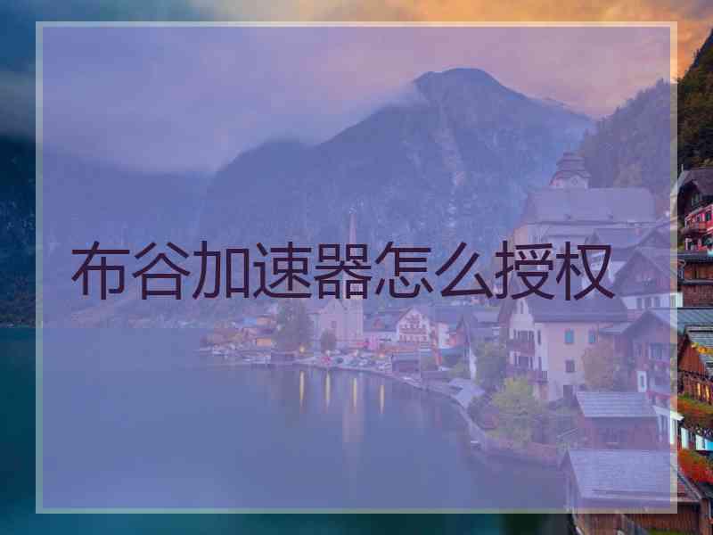 布谷加速器怎么授权