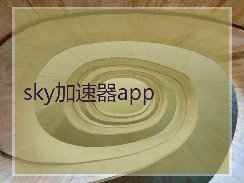 sky加速器app